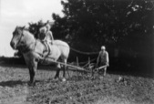 Grete & Birgit Riding the Horse as Frederik Plows the Field