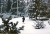 Asta in the Snow - 1982