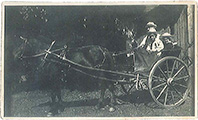 Grågård Visitors - JP Lassen with 2 Children in a Horse Cart